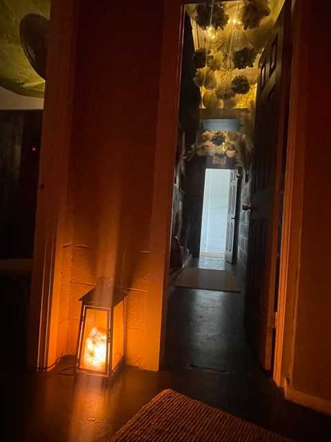 gallery image in our gallery