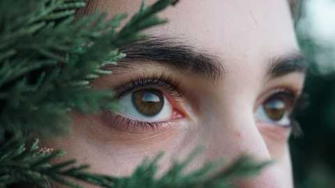 Keratin Lash Lift service
