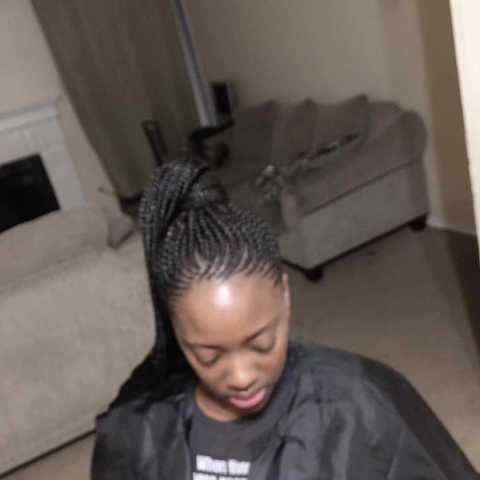 Small Ponytail Feed-Ins