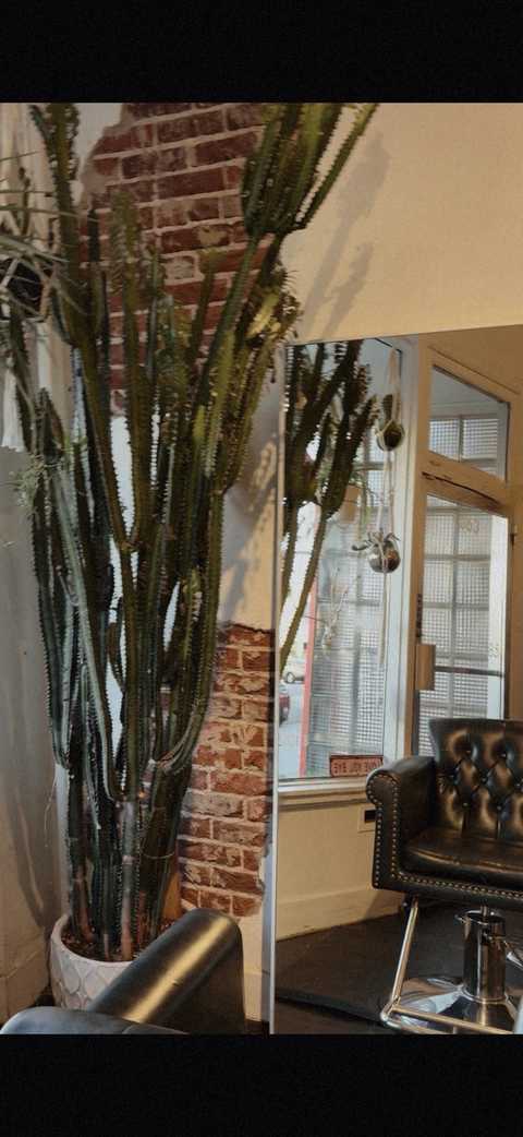 gallery image in our gallery