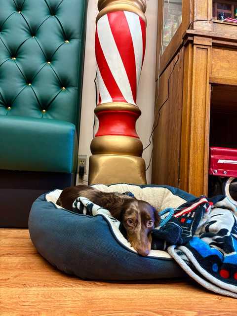 gallery image in our gallery