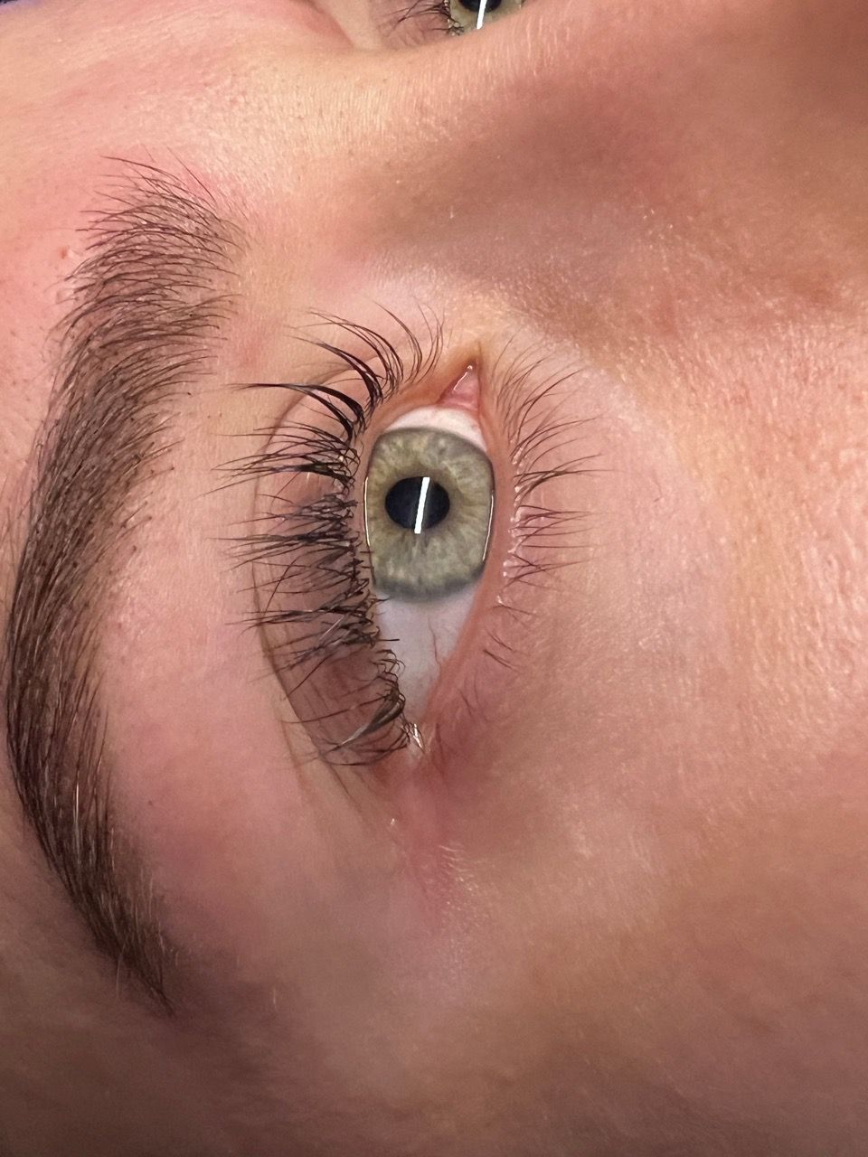  eye,eyelashes,beauty,close-up,skin,well-lit  