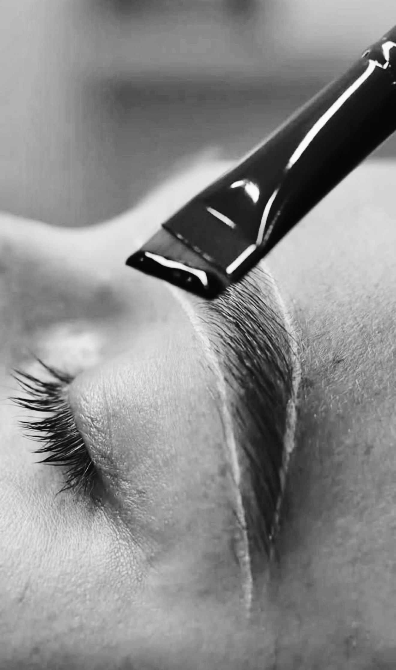 Signature Brow & Lash Services