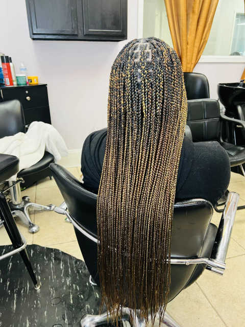 gallery image in our gallery