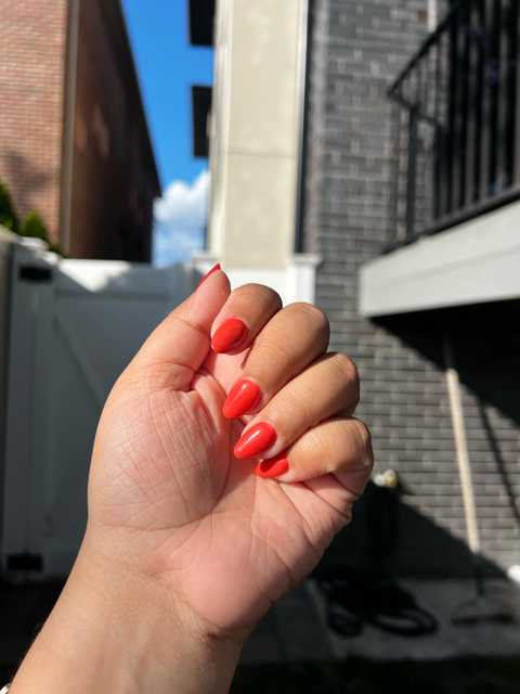 gallery image in our gallery