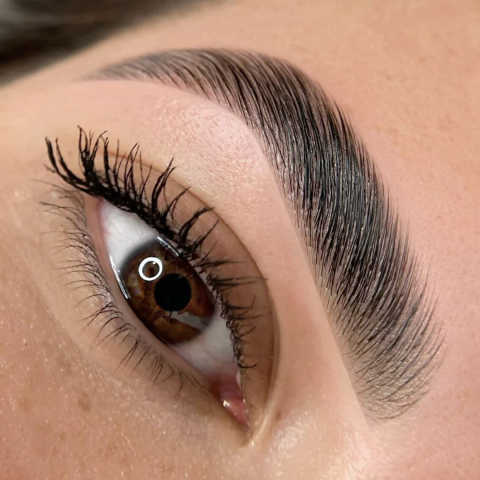Brow & Lash Shaping service