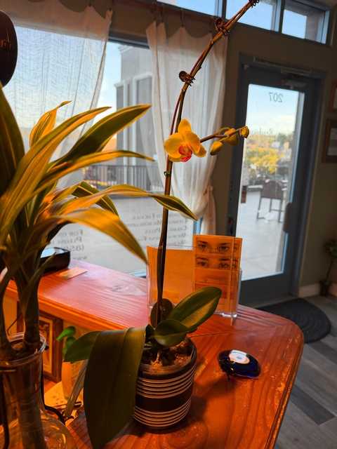 gallery image in our gallery