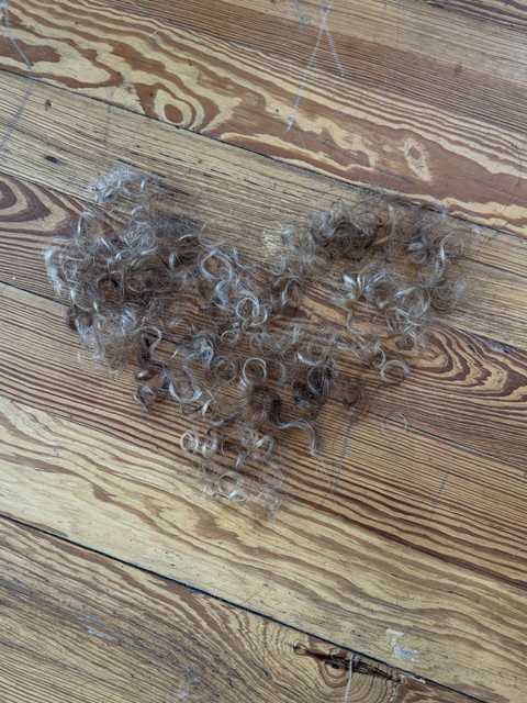 gallery image in our gallery