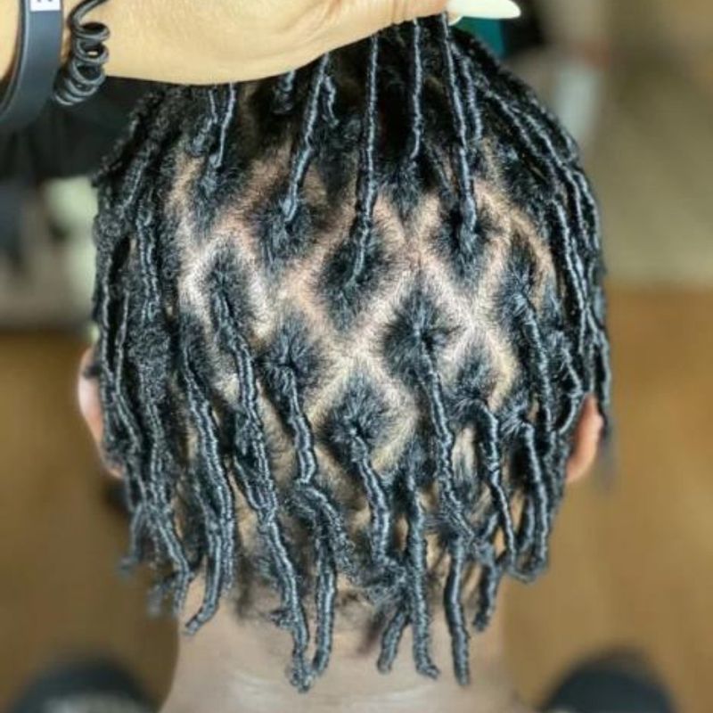 Starter Locs