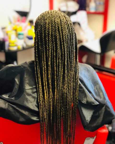 gallery image in our gallery