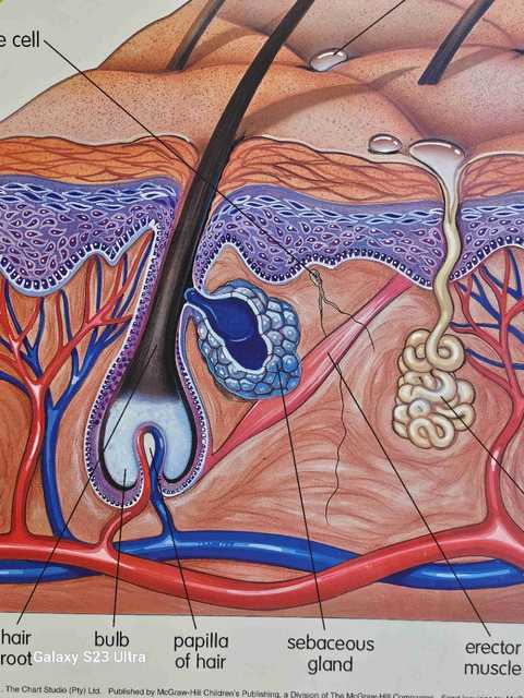 gallery image in our gallery