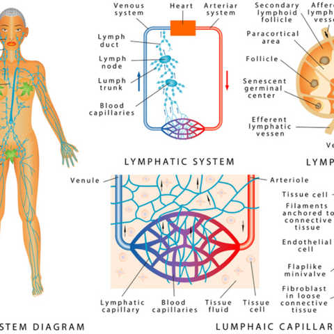 About Integrative Health Center