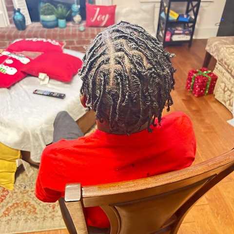 Starter Locs