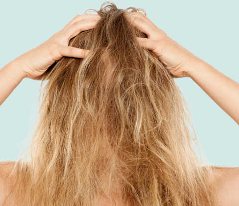Detangling Service