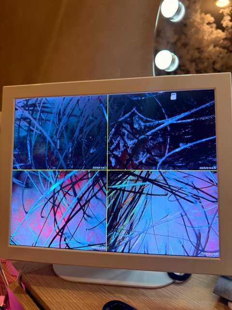 gallery image in our gallery