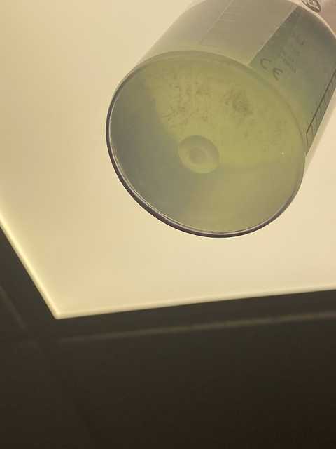 gallery image in our gallery