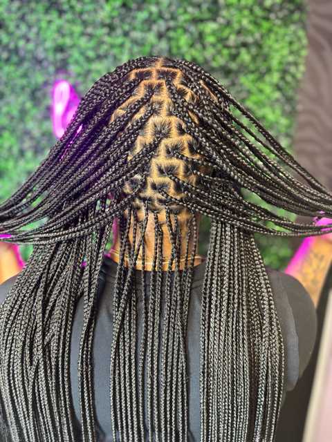 gallery image in our gallery