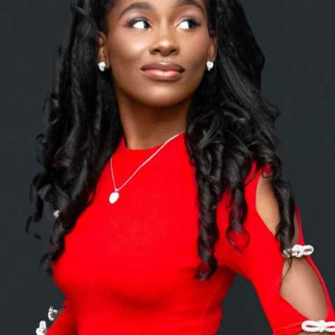 Traditional Sew-In