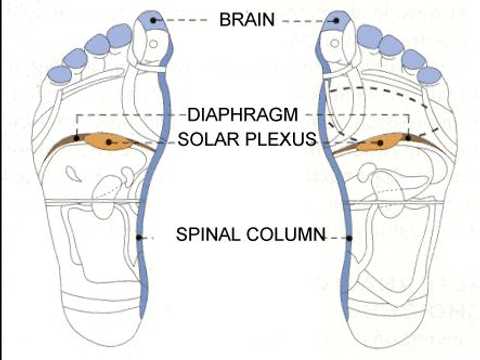 Reflexology Session ( hands and feet )