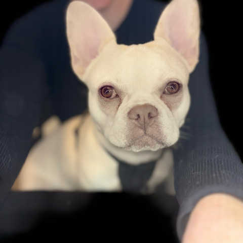 gallery image in our gallery