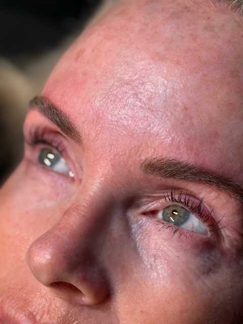 The Artist’s Eye