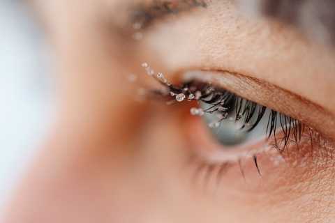 3. Lash Lift + Tints service