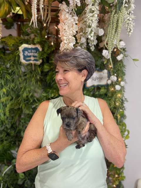 gallery image in our gallery