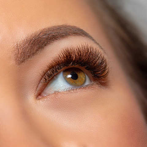 Brow and Lash Services service