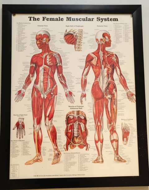 gallery image in our gallery