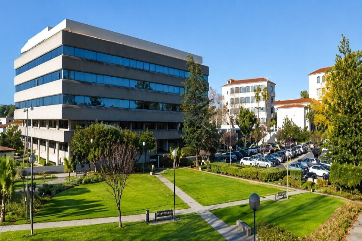 Universidade Católica Portuguesa Faculdade de Medicina