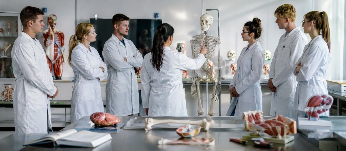 MBBS in Nicolaus Copernicus University Collegium Medicum Ludwik Rydygier campus