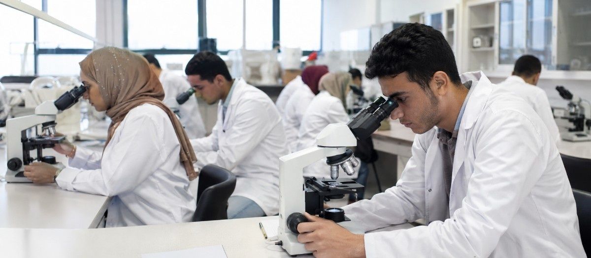 MBBS in Aswan University Faculty of Medicine campus