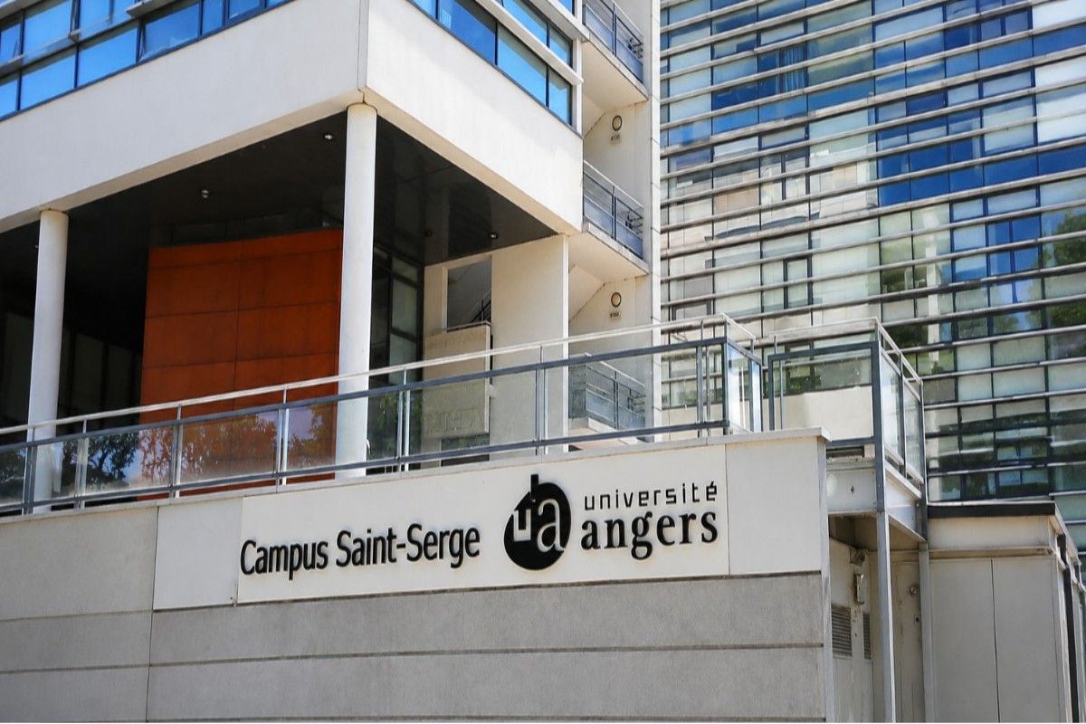 MBBS in University of Angers Faculty of Health
