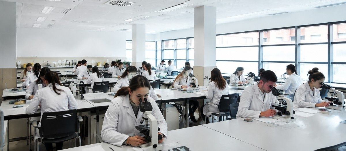 MBBS In Universitat de València Facultad de Medicina e Odontología campus