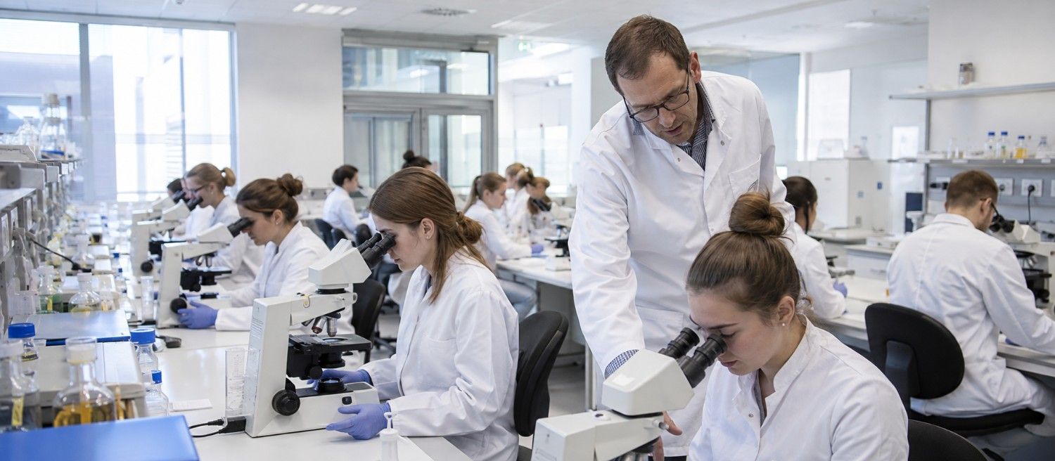 MBBSS in Hannover Medical School campus life