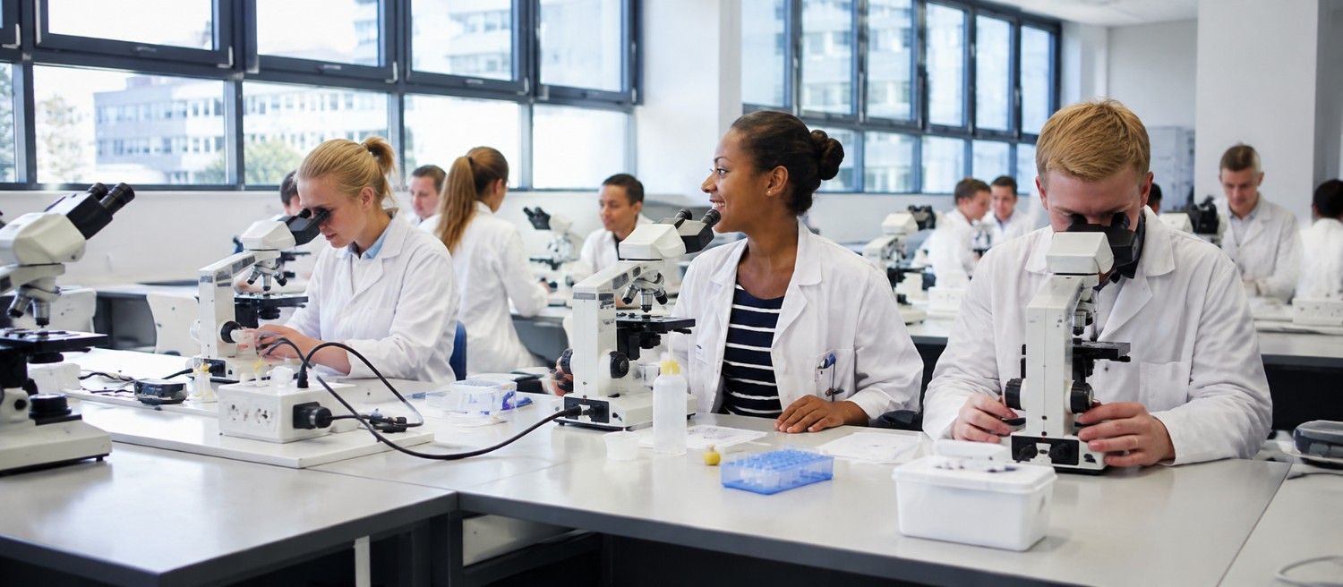 MBBS in Medical Faculty Mannheim, Heidelberg University campus life
