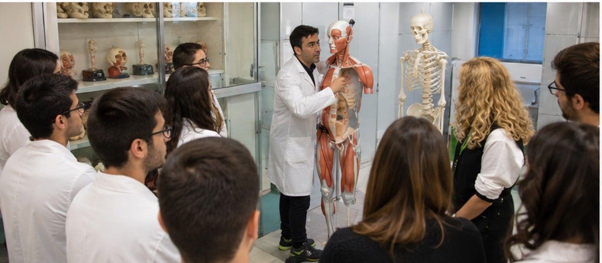 MBBS in University of Palermo School of Medicine and Surgery campus