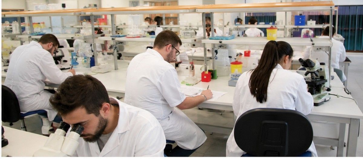 MBBS in University of Padua School of Medicine and Surgery Treviso campus life