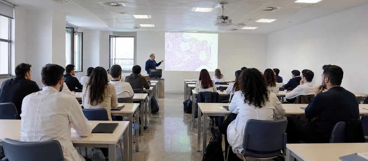 MBBS in University of Messina campus