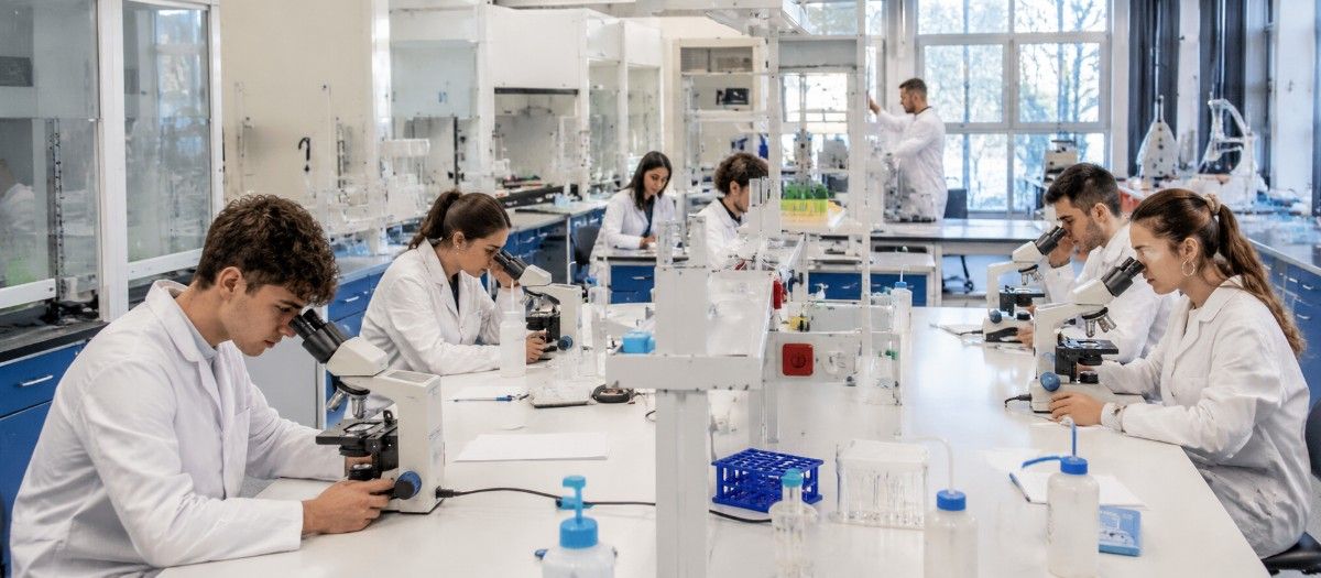 MBBS in University of Salento Department of Experimental Medicine campus