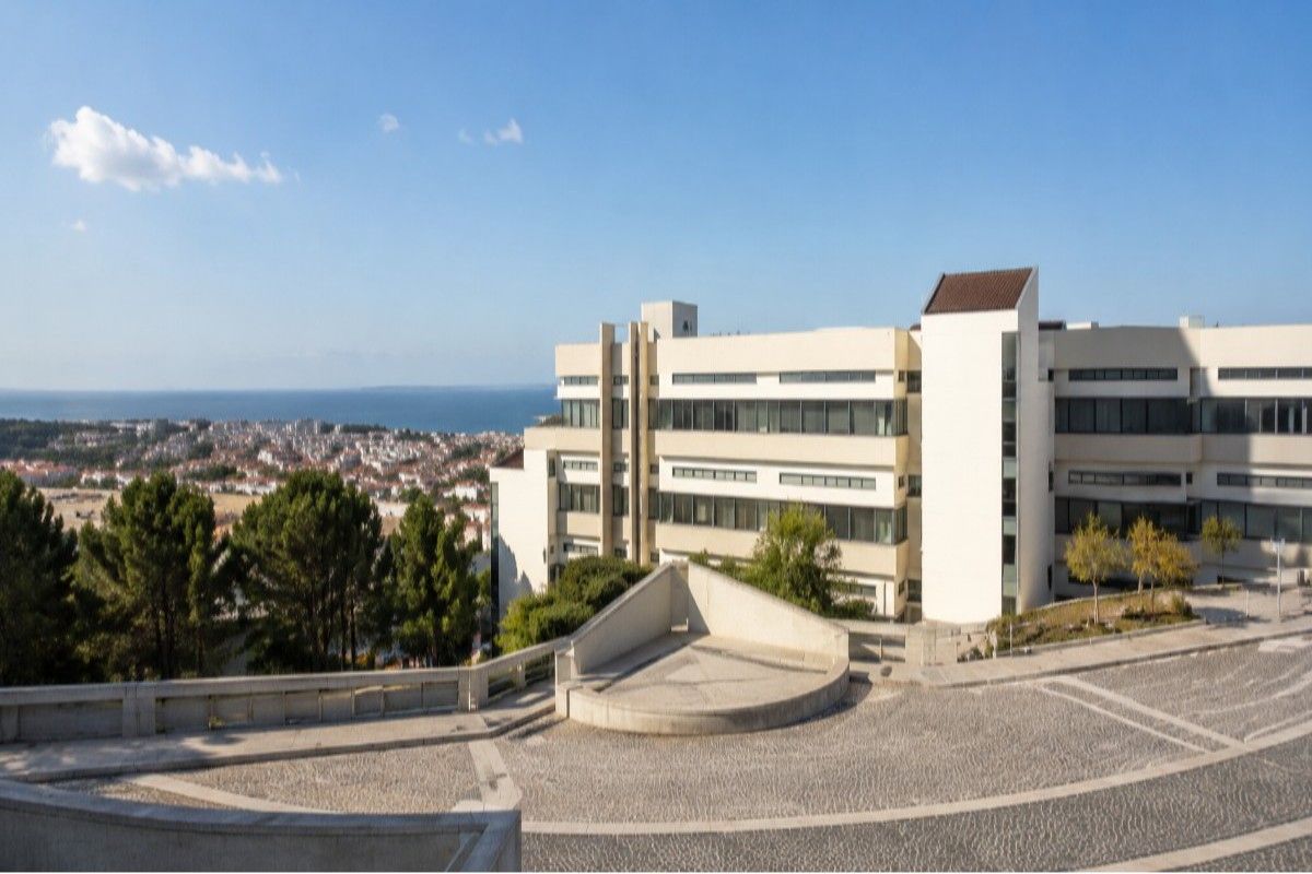 "University of Pisa Faculty of Medicine and Surgery"