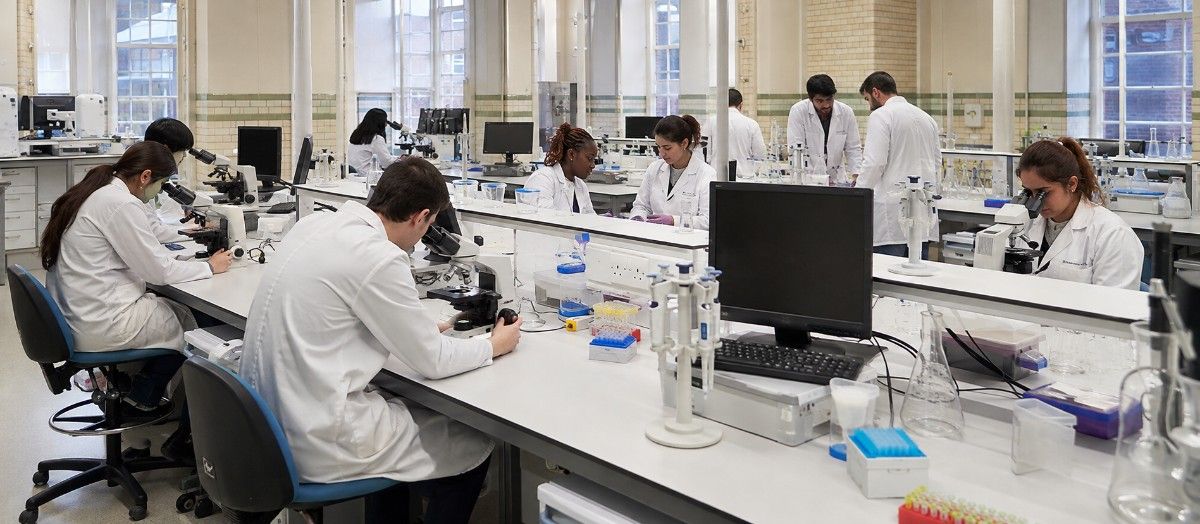 MBBS in UCL Medical School University London campus