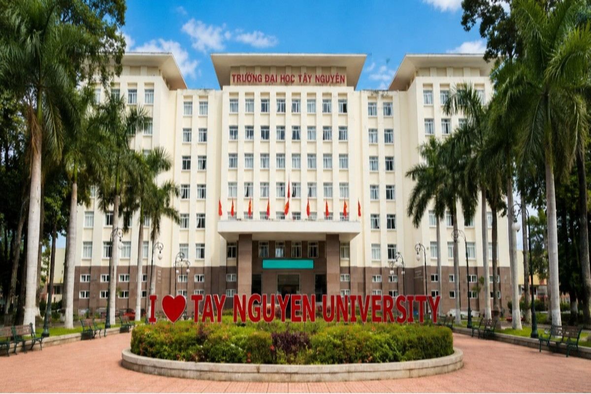 "Tay Nguyen University Faculty of Medicine and Pharmacy"