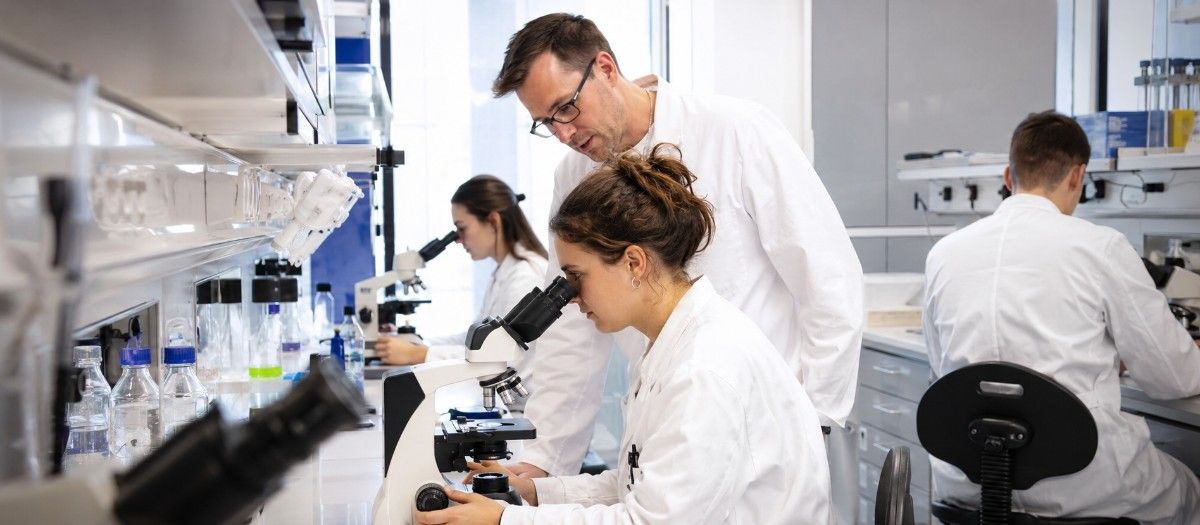 MBBS in University of Münster Faculty of Medicine campus