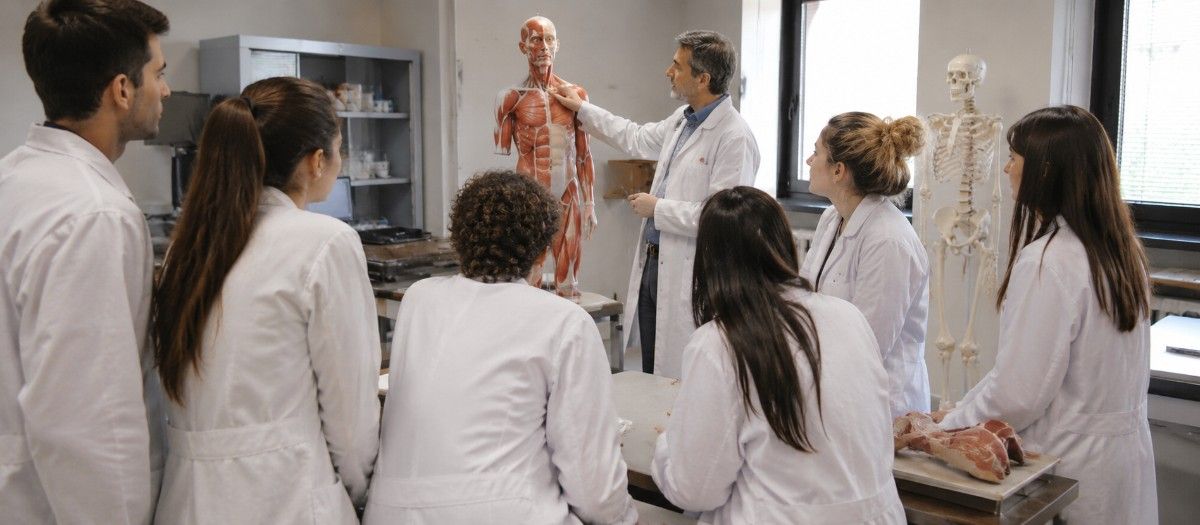 MBBS in Sapienza University of Rome Faculty of Medicine and Psychology campus