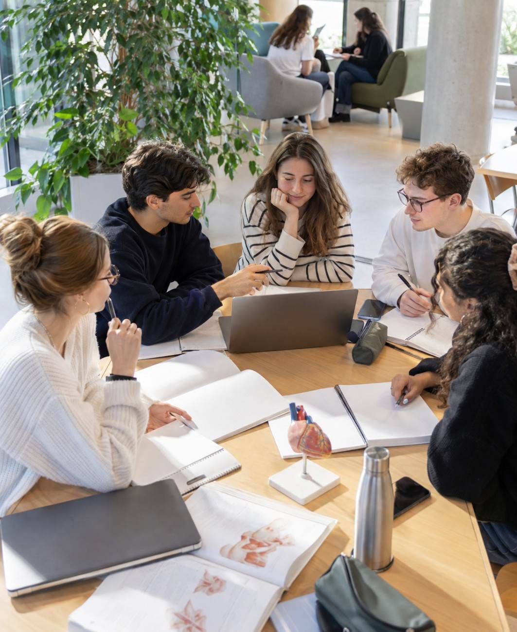 "Limoges Faculty of Medicine student life"