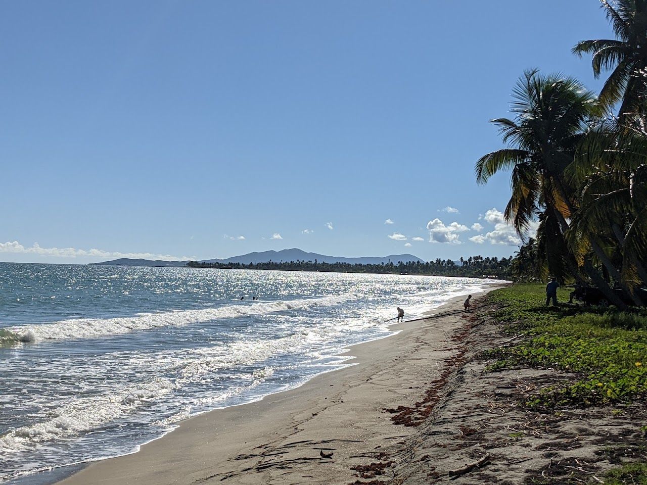 Tropical Beach