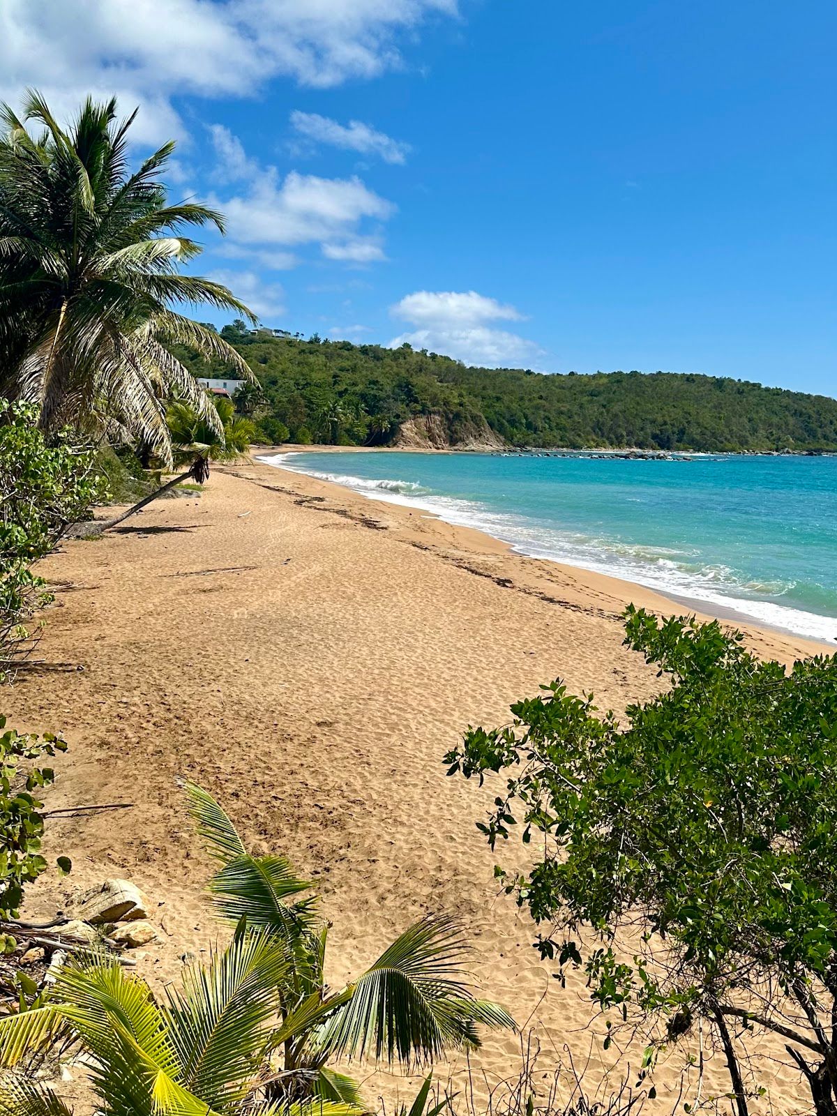 Playa El Cocal