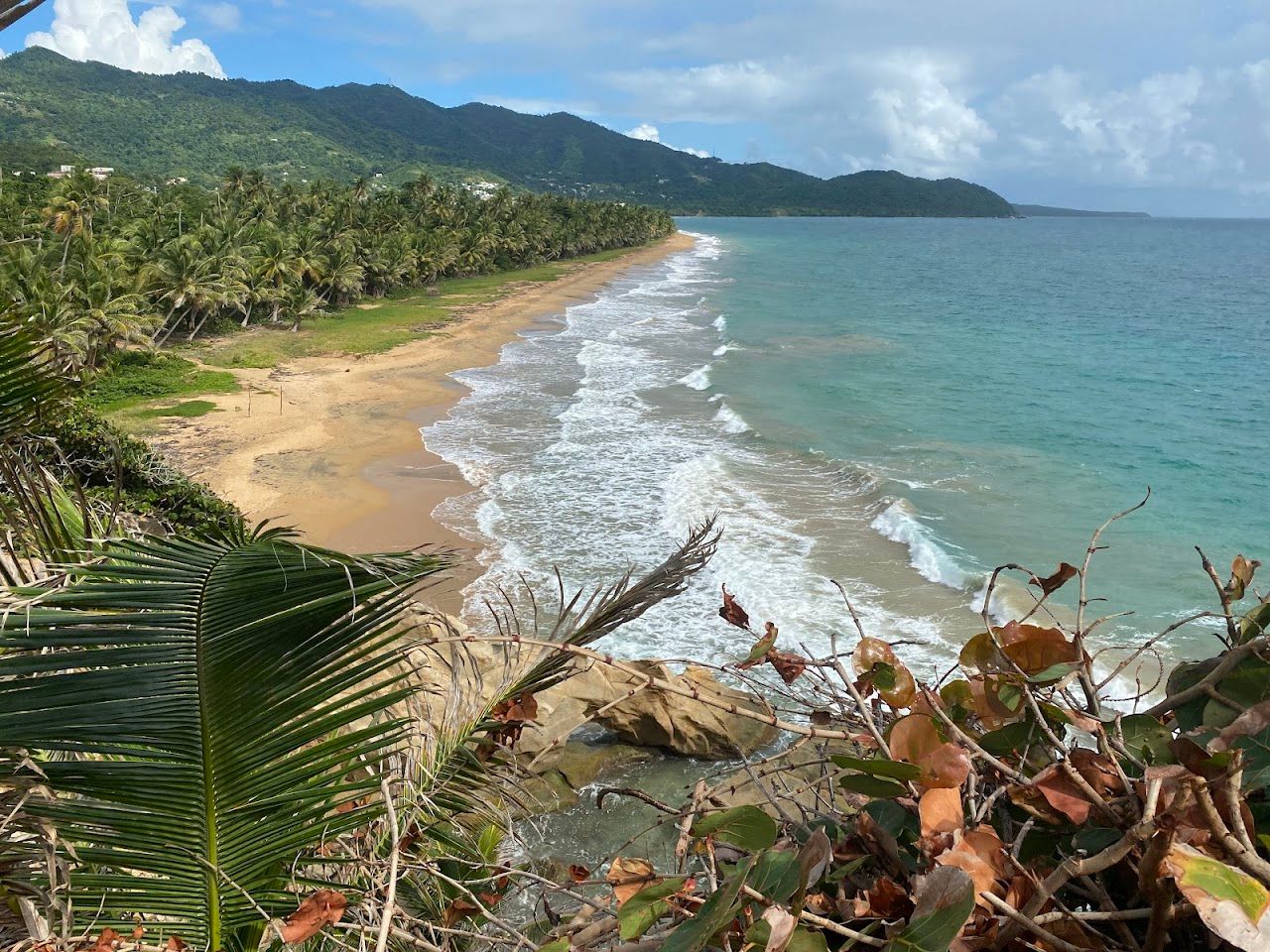 Playa Punta Tuna