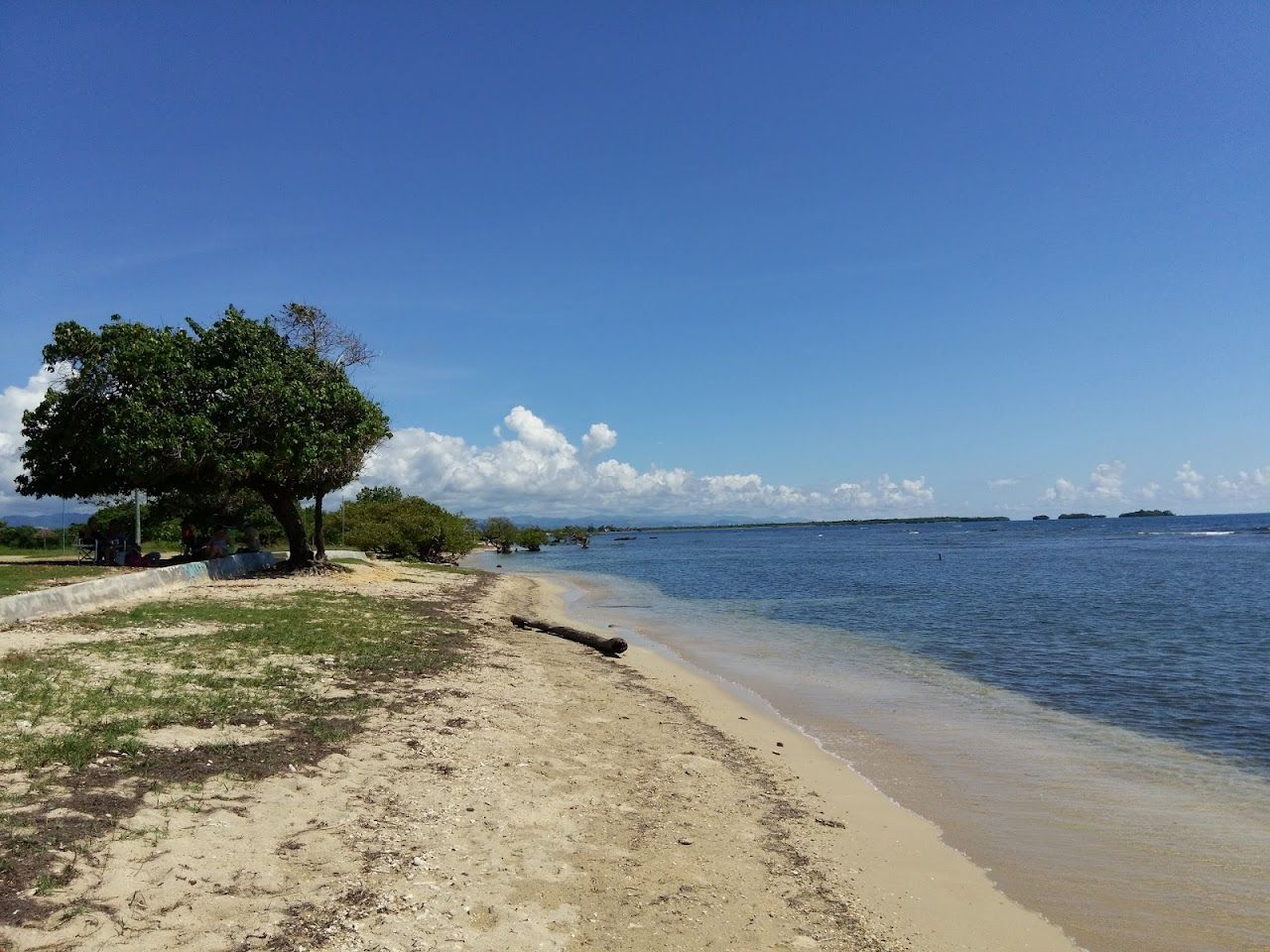 Playa De La Guancha